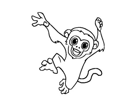 Dibujo de Mono capuchino bebé para Colorear   Dibujos.net