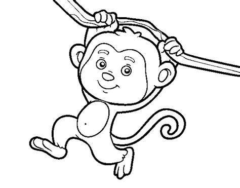 Dibujo de Mono colgado de una rama para Colorear   Dibujos.net