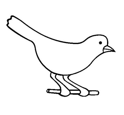 Dibujo de Pájaro 4 para Colorear   Dibujos.net