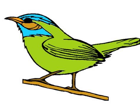 Dibujo de Pájaro silvestre pintado por en Dibujos.net el ...