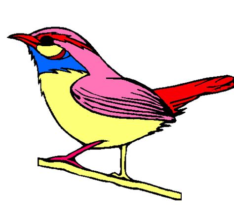 Dibujo de Pájaro silvestre pintado por Nestor en Dibujos ...