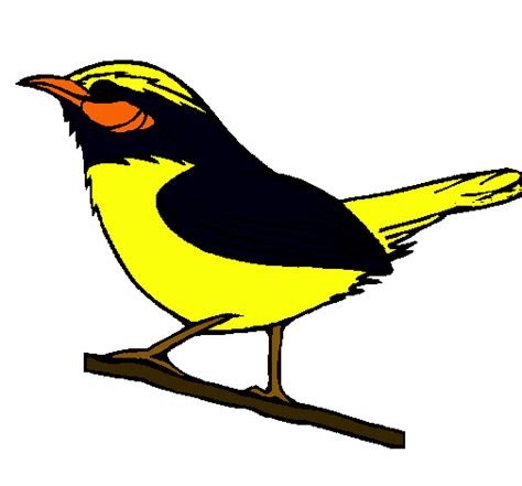 Dibujo de Pájaro silvestre pintado por Turpial en Dibujos ...