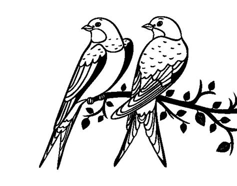 Dibujo de Pareja de pájaros para Colorear   Dibujos.net