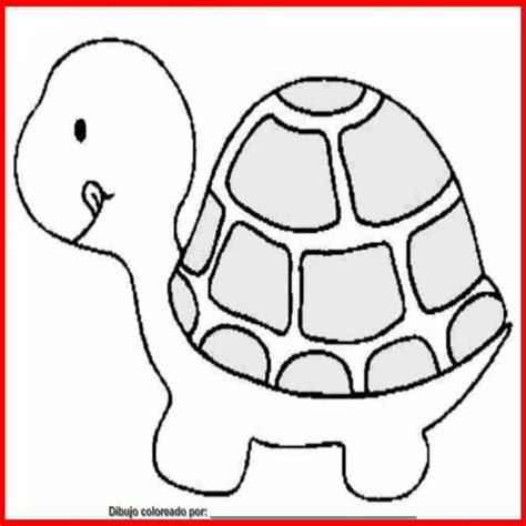 Dibujo De tortuga Para Colorear E Imprimir | Colorear.website