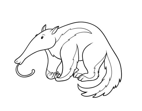 Dibujo de Un oso hormiguero para Colorear Dibujos.net