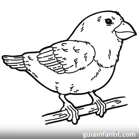 Dibujo de un pájaro en primavera para colorear