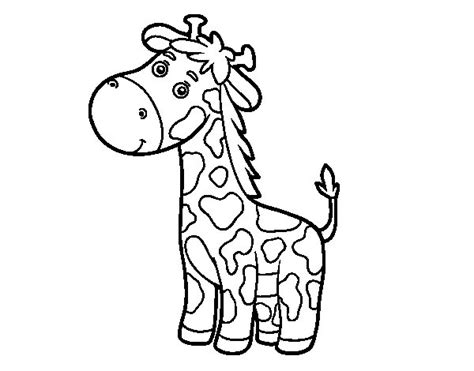 Dibujo de Una jirafa para Colorear   Dibujos.net