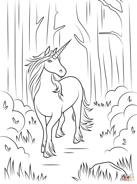 Dibujo de Unicornio en el Bosque para colorear | Dibujos ...