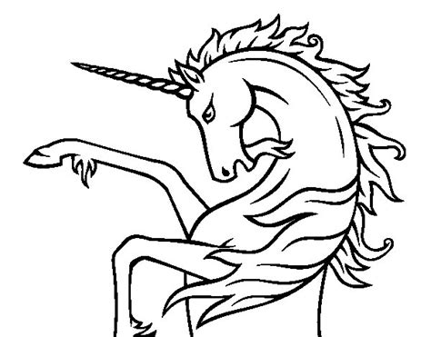 Dibujo de Unicornio salvaje para Colorear   Dibujos.net