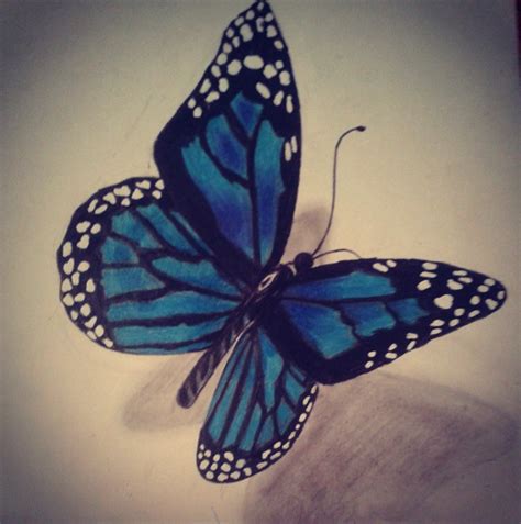 Dibujo mariposas a lapiz   Imagui