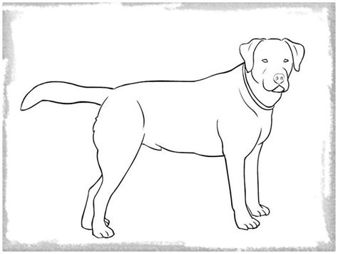 dibujo para colorear de un perro dalmata Archivos ...