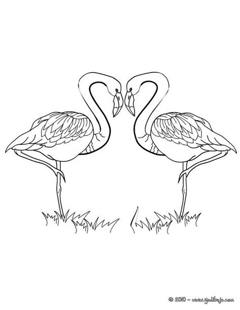 Dibujo para colorear FLAMINGOS CORAZON | LOVE mi amor ...