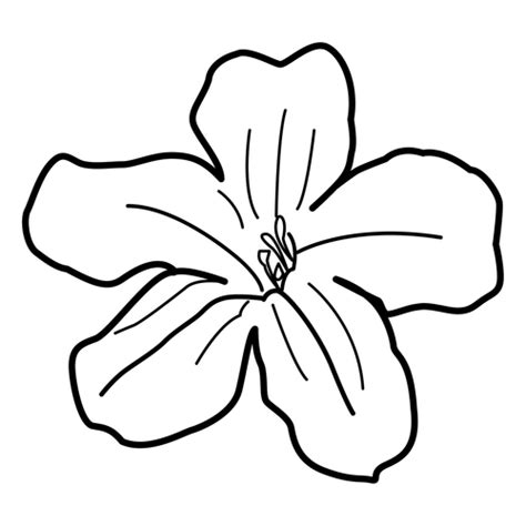 Dibujo para Colorear Flores Primaverales Bonitas | Dibujos ...