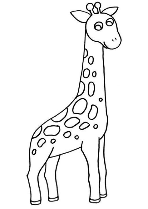 Dibujo para colorear jirafa
