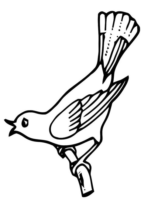 Dibujo para colorear pájaro cantando   Img 19461
