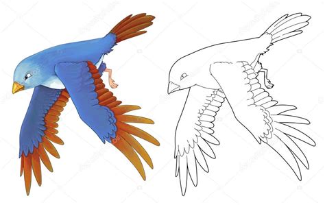 Dibujos animados de aves exóticas de colores   volar ...