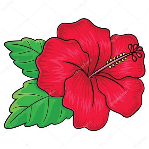 Dibujos animados de flor de Hibiscus — Vector de stock ...