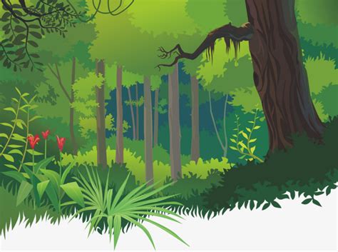Dibujos Animados De Los Bosques Tropicales, Bosque, Flores ...