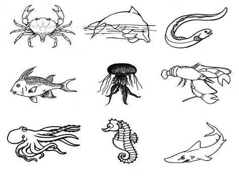 Dibujos de animales marinos para colorear, pintar ...