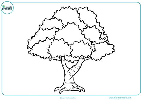 Dibujos de árboles para colorear   Mundo Primaria