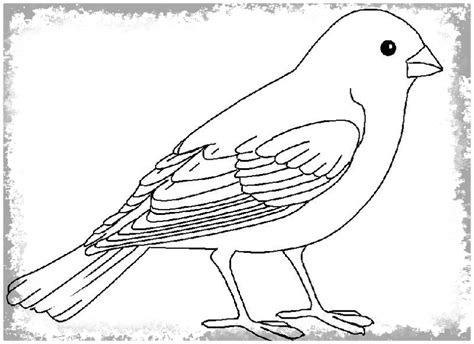 dibujos de aves para colorear e imprimir Archivos ...