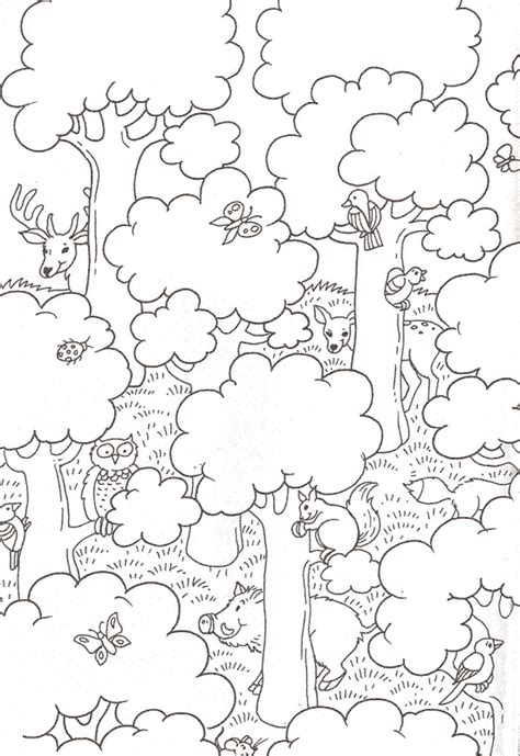 Dibujos de bosques para colorear   Imagui