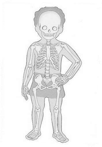 Dibujos de esqueleto humano para colorear. | huesos ...