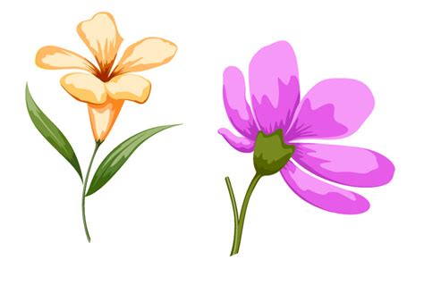 Dibujos De Flores, Flor, Flores De Colores, Flores De ...