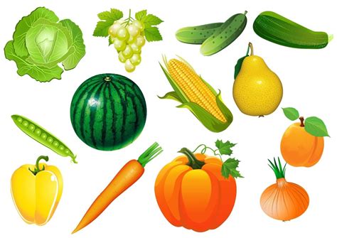Dibujos de frutas y verduras Web del maestro