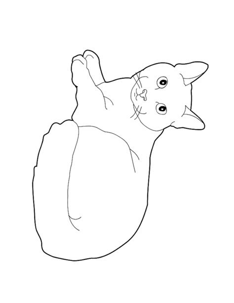 Dibujos de gatos para dibujar facil   Imagui