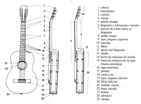 Dibujos de guitarras con sus partes   Imagui
