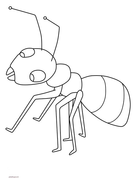 Dibujos de hormigas para colorear
