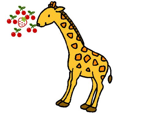 Dibujos de jirafa pintadas   Imagui
