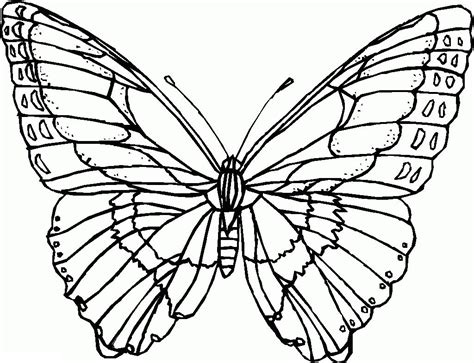 Dibujos de mariposas bonitas para colorear