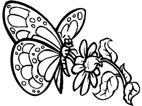 Dibujos de mariposas bonitas para colorear