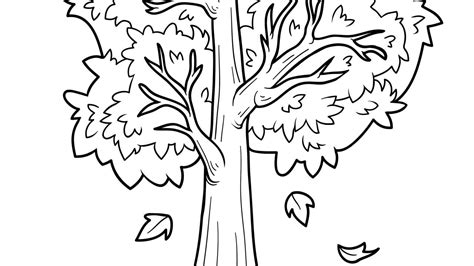 Dibujos de otoño para colorear   Búhos