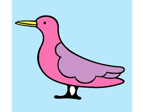 Dibujos de Pájaros para Colorear   Dibujos.net