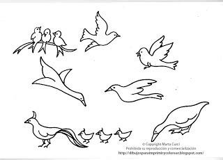 Dibujos de pájaros para imprimir y pintar | Colorear imágenes