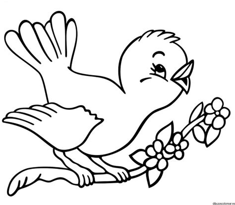 Dibujos de pájaros para imprimir y pintar | Colorear imágenes