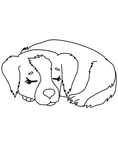 Dibujos de perros faciles para dibujar   Dibujo Y Pintura