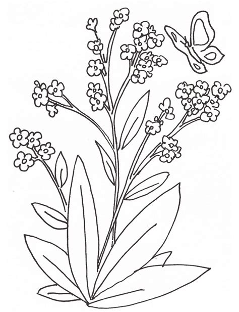 Dibujos de plantas para colorear. Dibujos de plantas ...