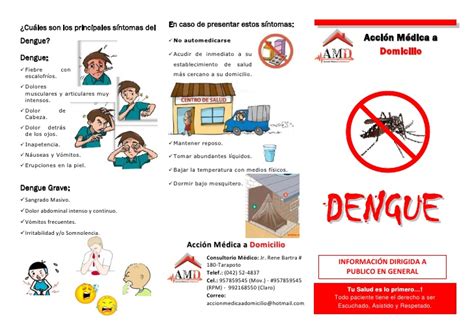 Dibujos del dengue para imprimir   Imagui