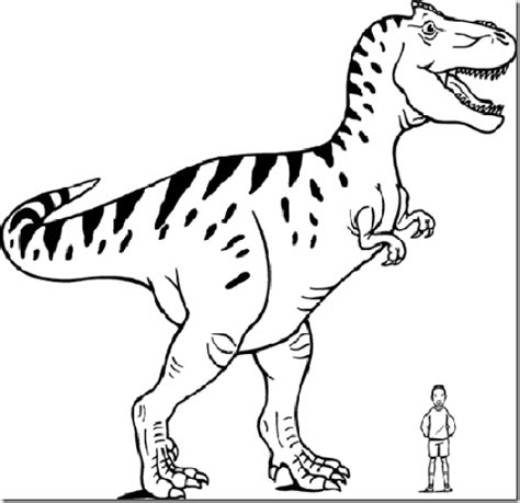 Dibujos dinosaurios para colorear | JUGARYCOLOREAR