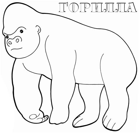 Dibujos infantiles para colorear de gorilas