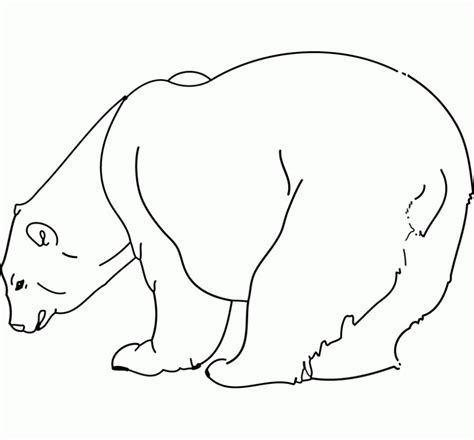 Dibujos para colorear animales salvajes | Oso | Dibujos ...