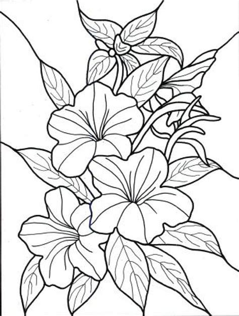 dibujos para colorear de flores exoticas … | kwiaty | Pinte…