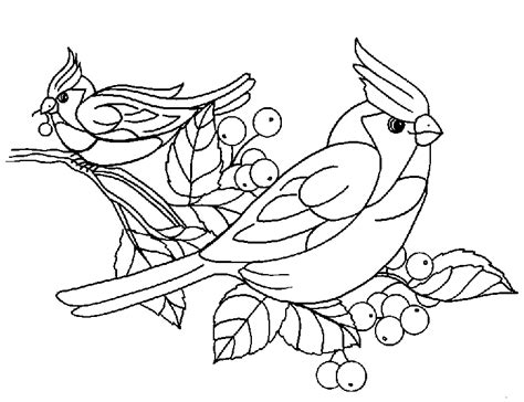 Dibujos para colorear de Pajaros, Aves, Plantillas para ...
