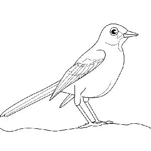 Dibujos para colorear de pájaros. Dibujos infantiles de ...