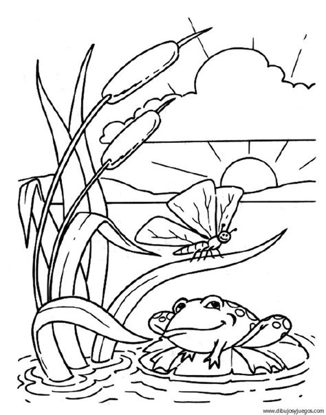 Dibujos para colorear de plantas acuaticas   Imagui