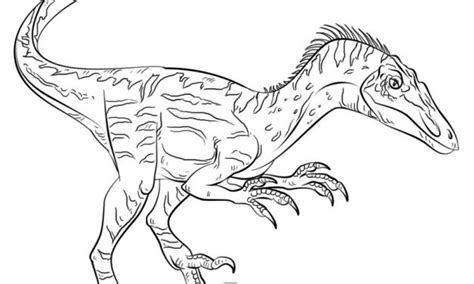 Dibujos para colorear: Dinosaurios imprimible, gratis ...